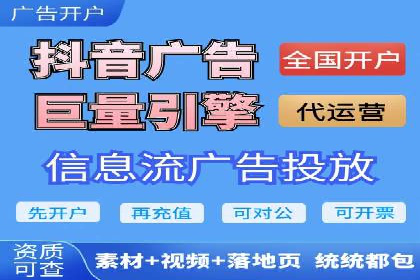 XX行业竞价广告的投放策略与效果分析